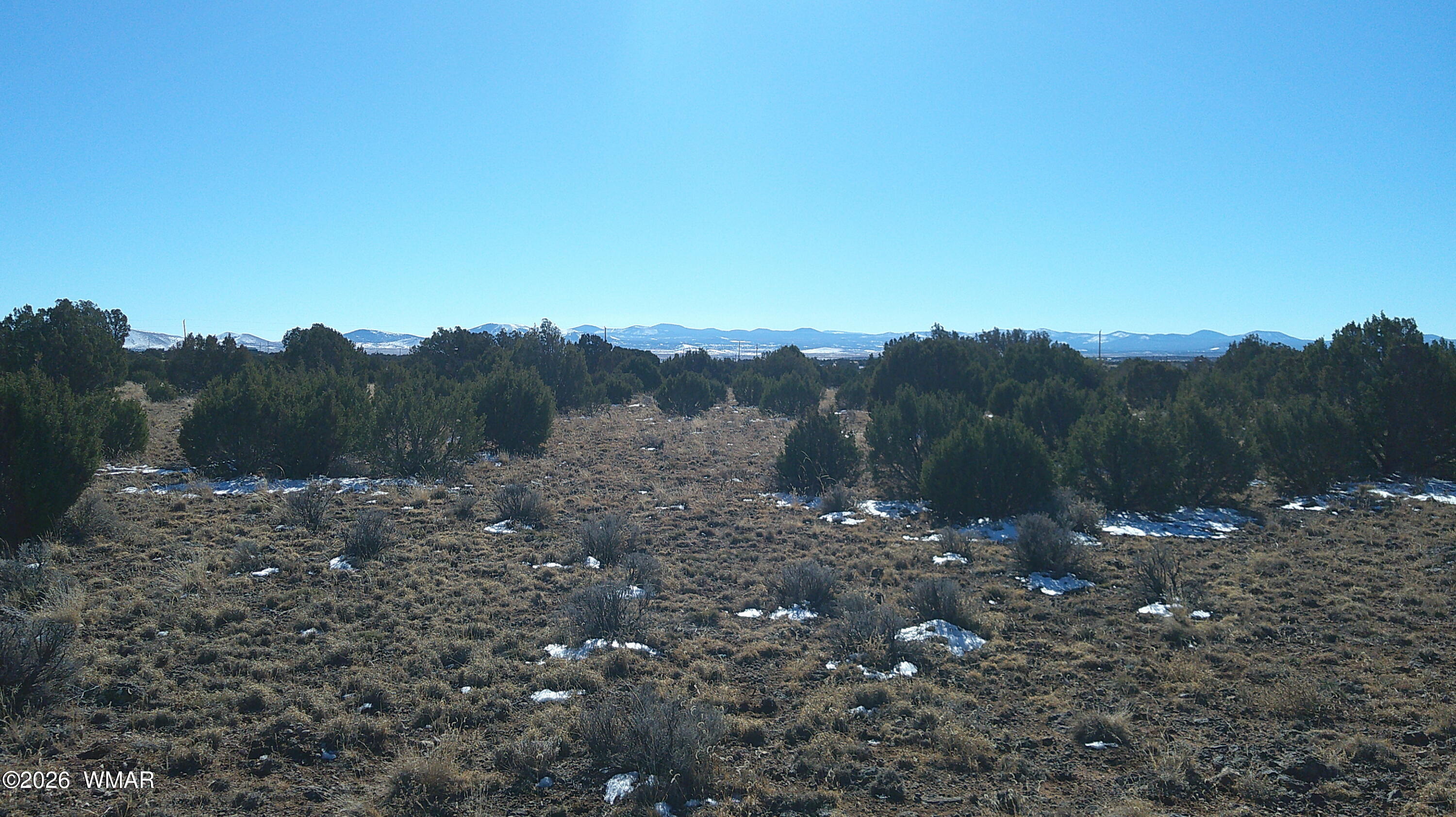 DSCF0009