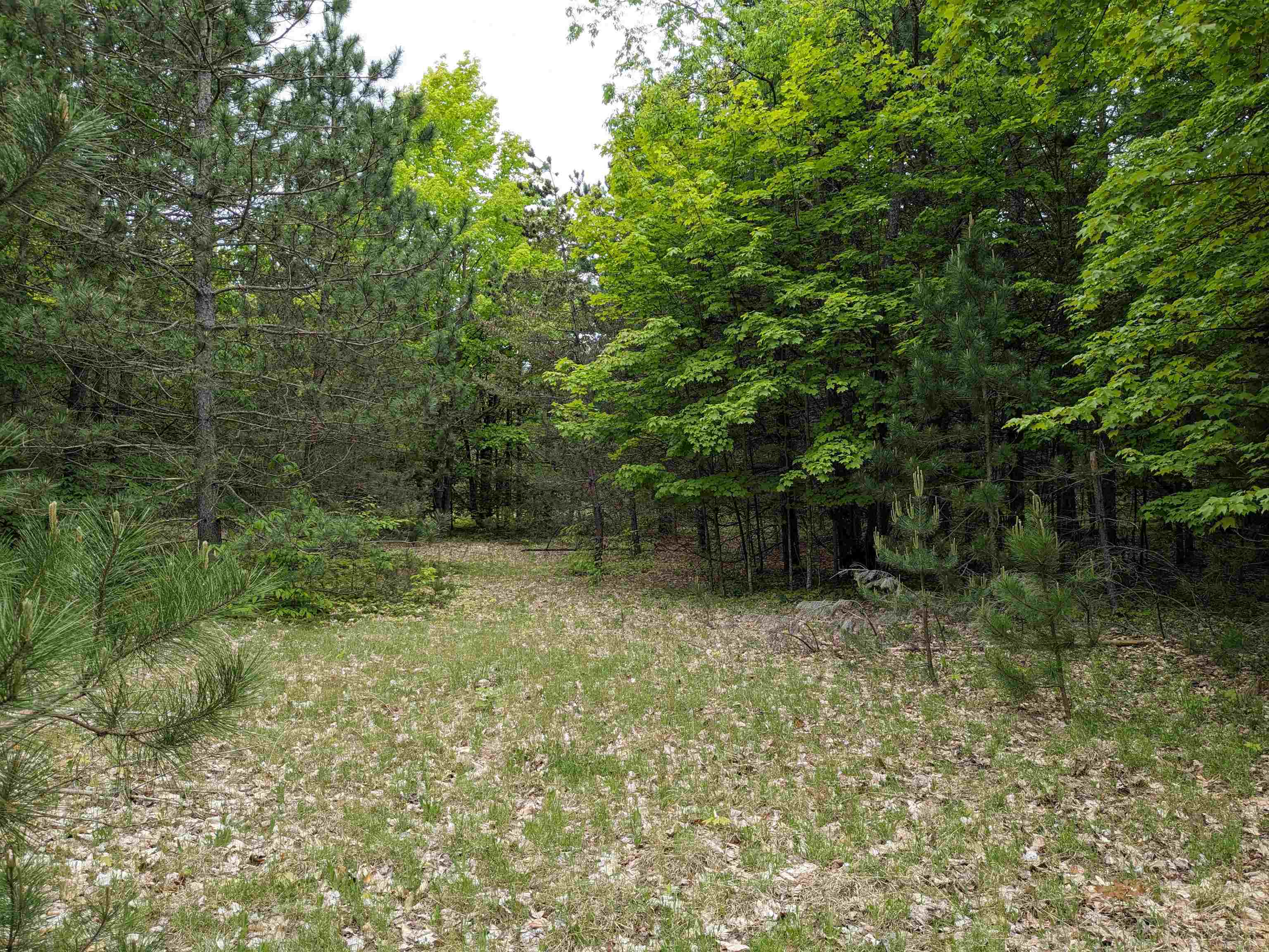 0 East 26 Road Cadillac, MI 49601 - Photo 5 of 15