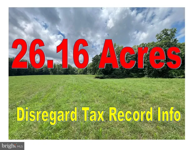 a bunch of trees and flowers