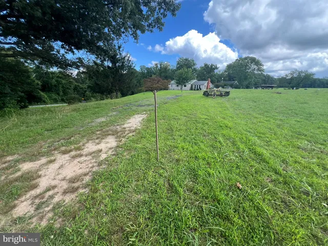 a view of road and grass