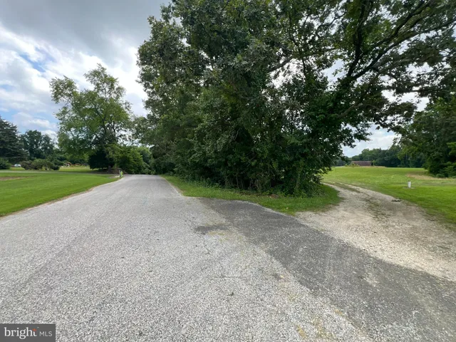 a view of a garden with a house
