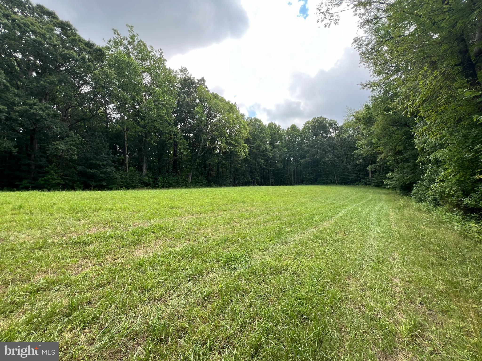 Magruders Ferry Road Brandywine, MD 20613 - Photo 5 of 19 a view of a grassy field with trees in the background