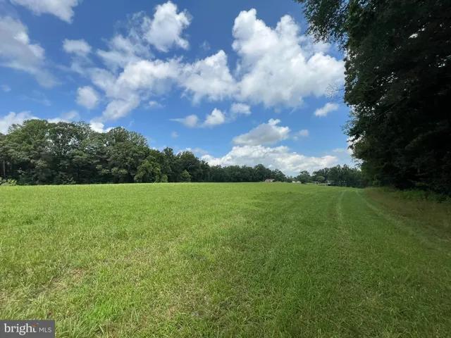 a view of a field with a trees
