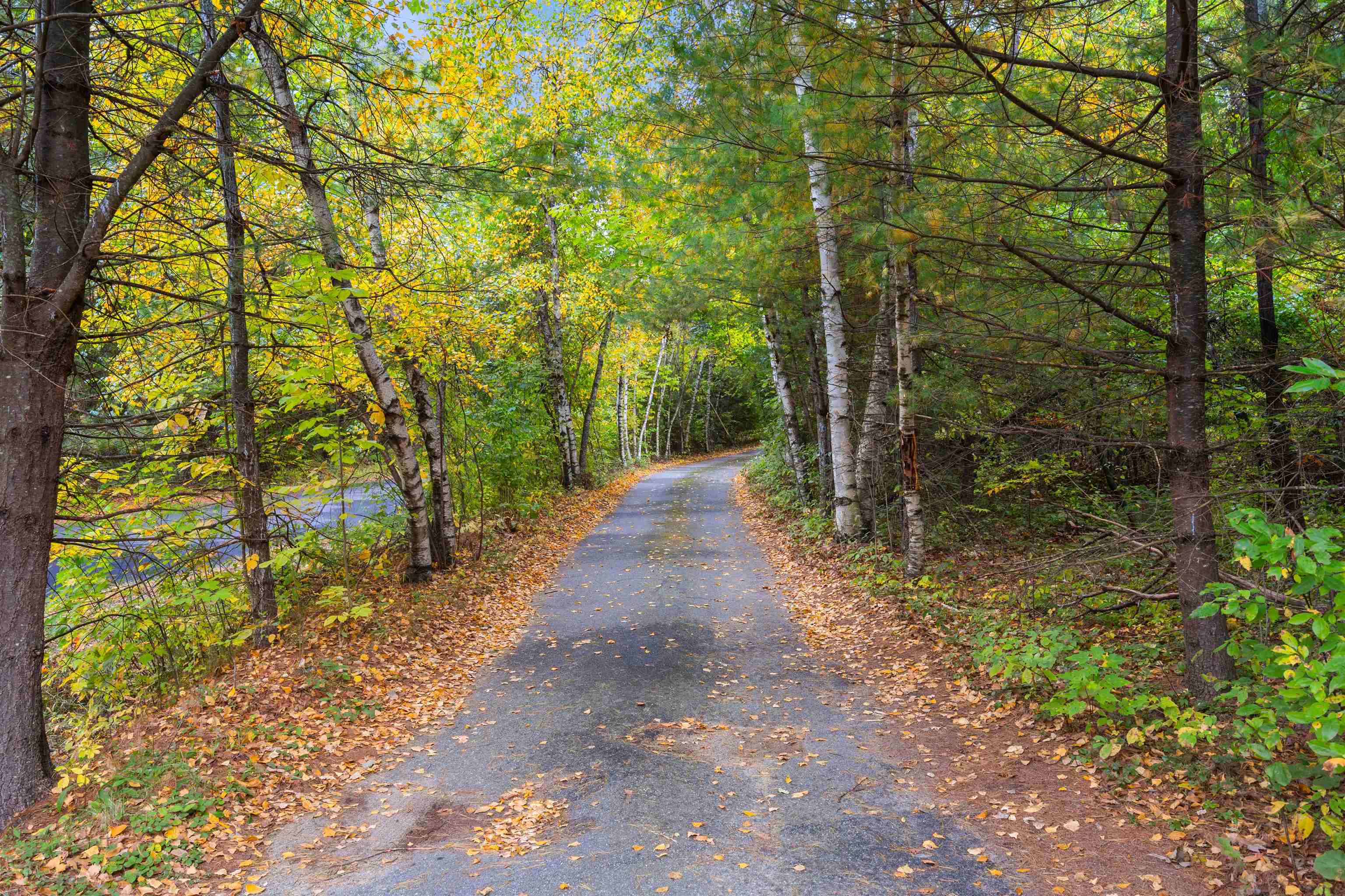 114 Mooar Hill Road Hollis, NH 03049 - Photo 38 of 39