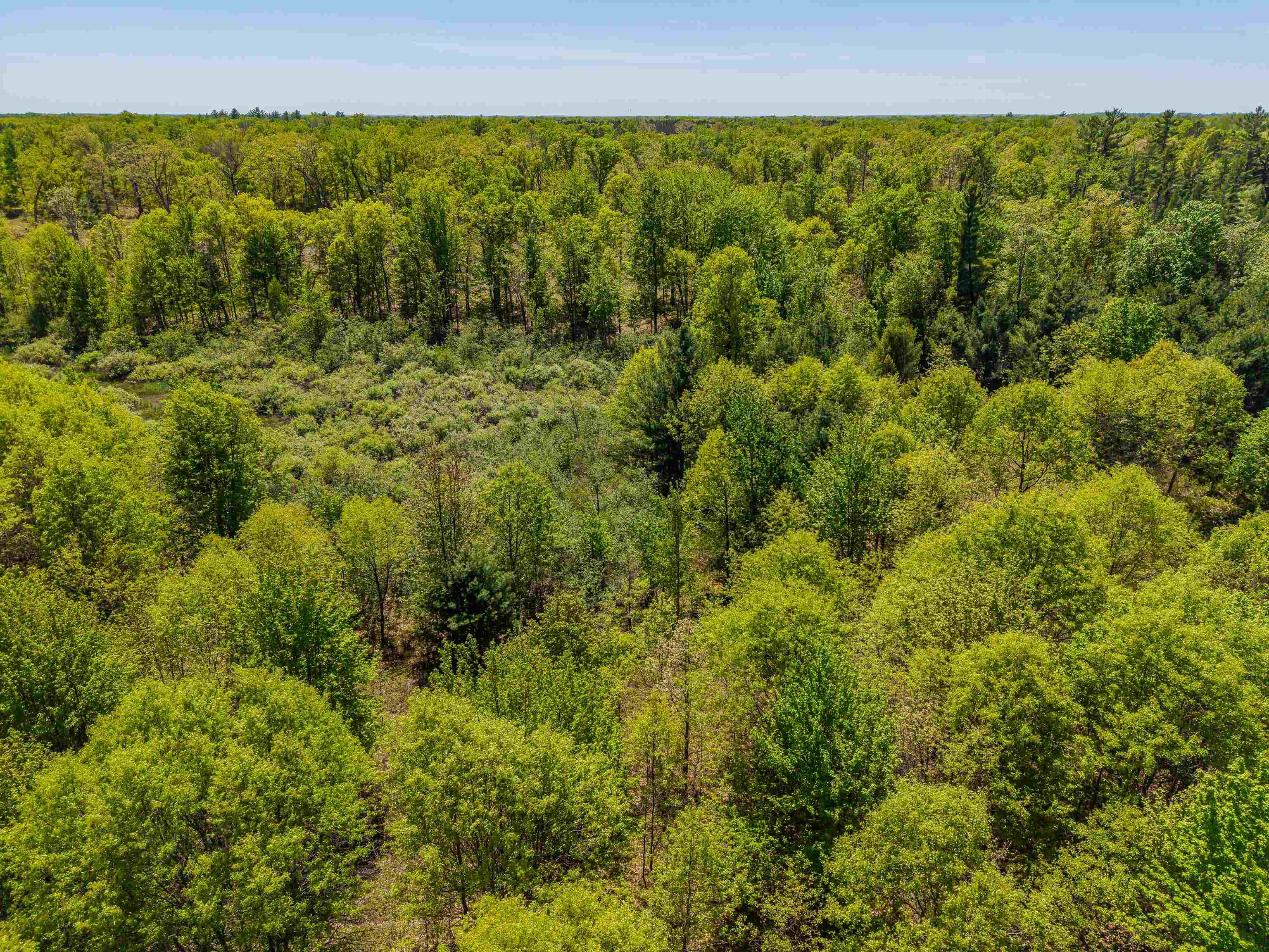 240 Hilts Road Gladwin, MI 48624 - Photo 64 of 97