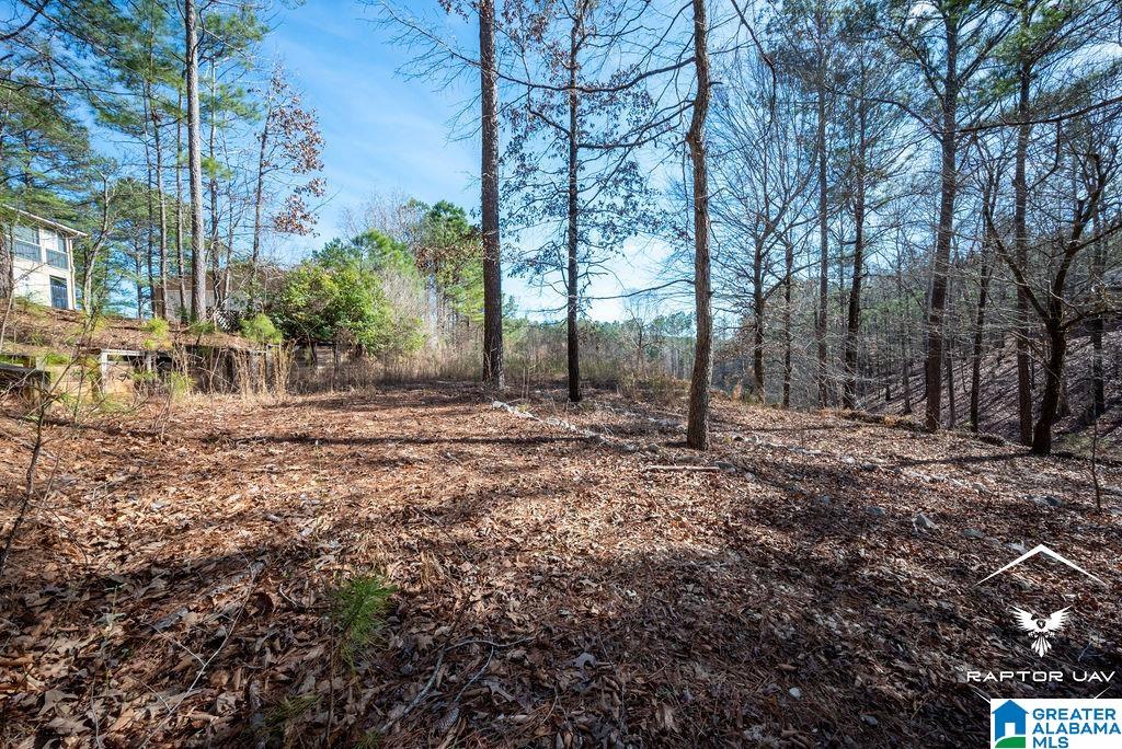347 Murphy Dam Road, Unit LOT #16 Dadeville, AL 36853 - Photo 3 of 10