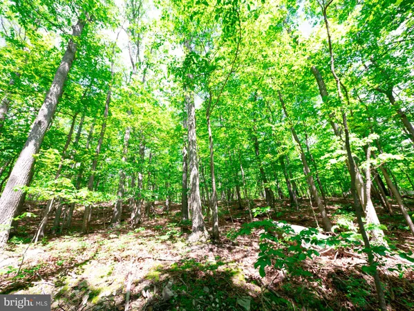 $9,500 | 8-9 Elk Trail, Winchester, VA 22602