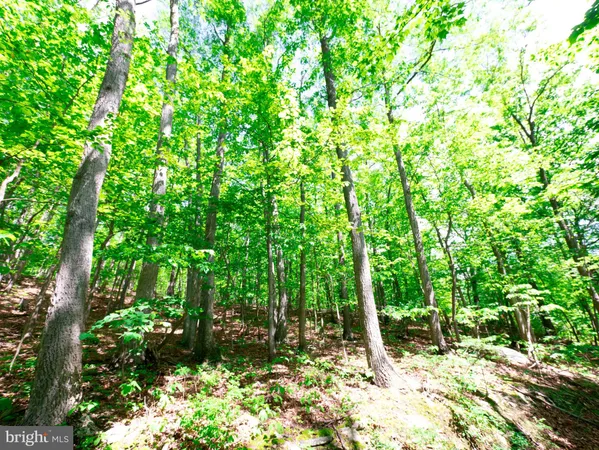 $9,500 | 8-9 Elk Trail, Winchester, VA 22602