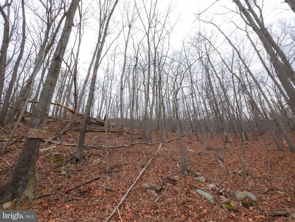 $9,500 | 8-9 Elk Trail, Winchester, VA 22602