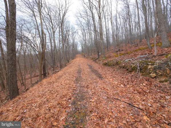 $9,500 | 8-9 Elk Trail, Winchester, VA 22602