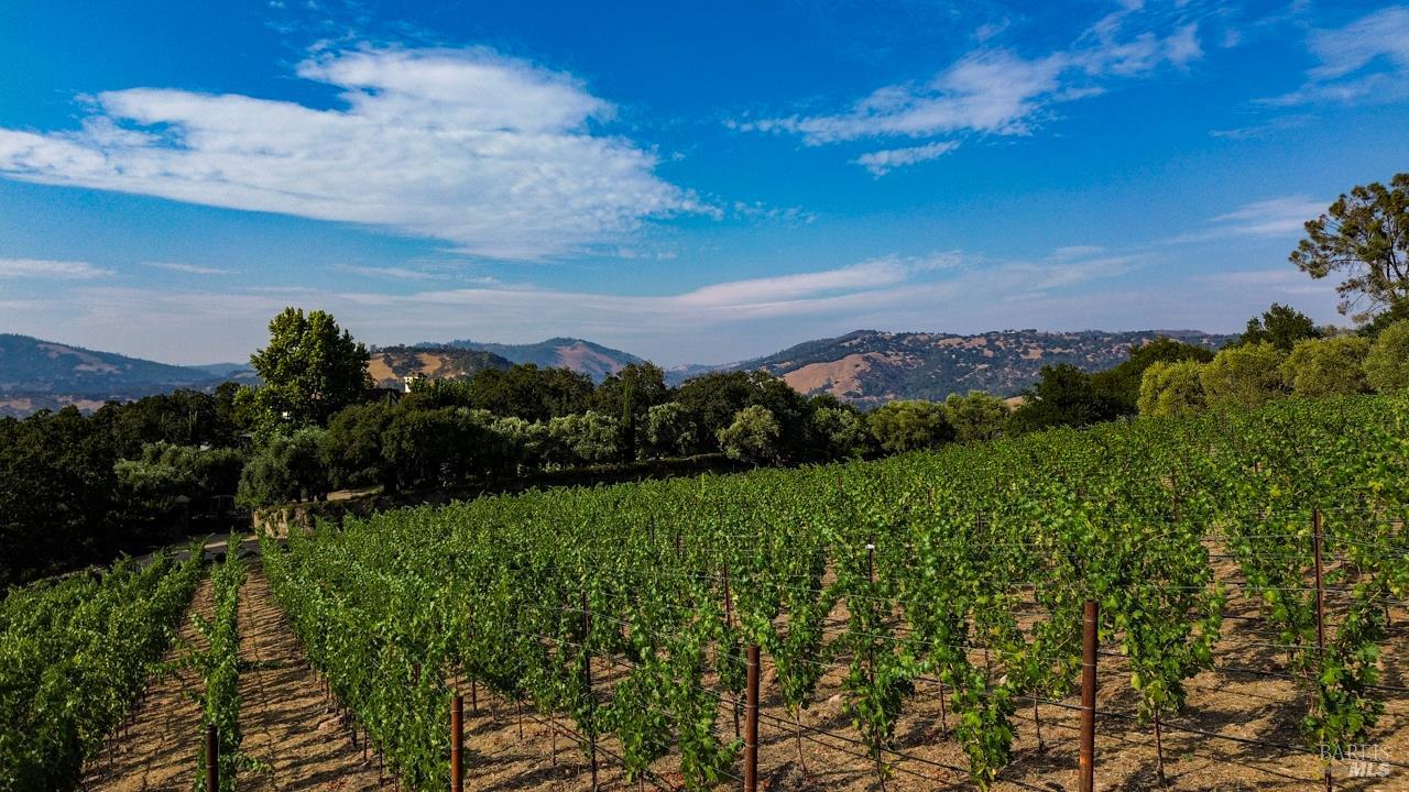 40 Long Ranch Road St. Helena, CA 94574 - Photo 49 of 68