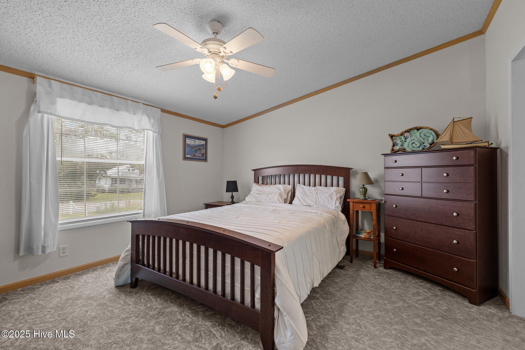 2976 Cedar Island Road Cedar Island, NC 28520 - Photo 13 of 31 36-web-or-mls-1S3A4365