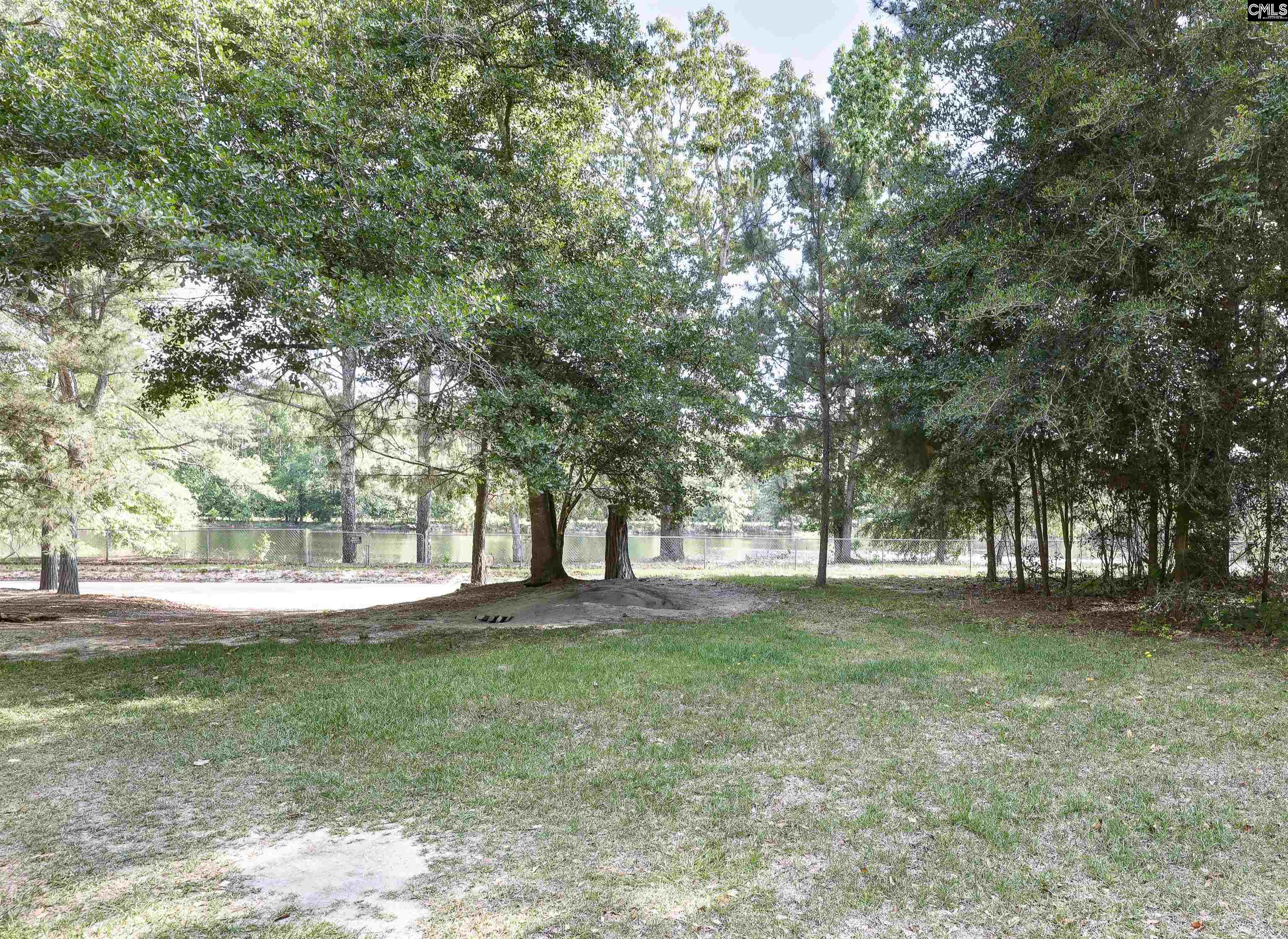 849 Swamp Rabbit Road Leesville, SC 29070 - Photo 24 of 26