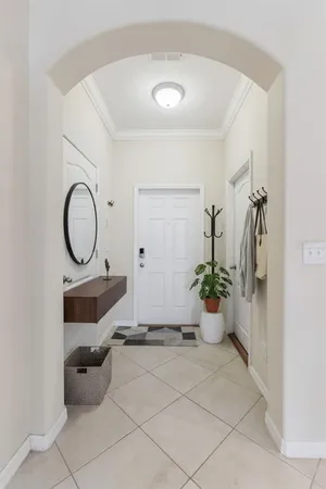 a room with furniture and a potted plant