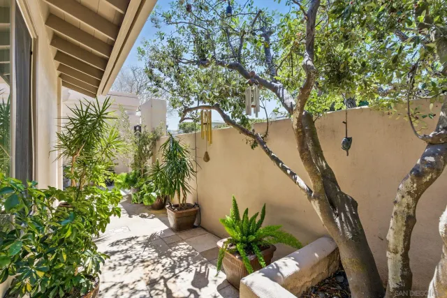 a potted plant sitting in front of a house