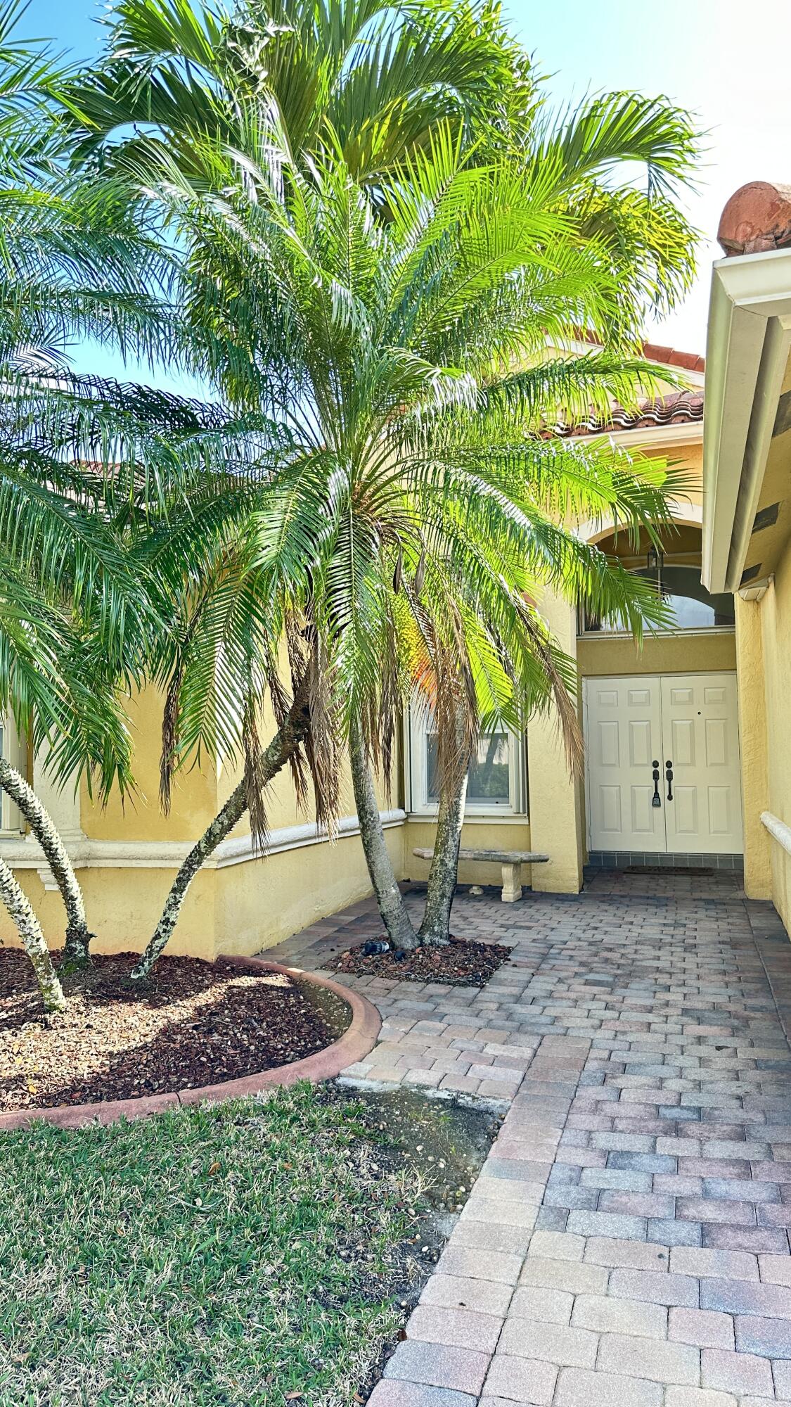 19010 Southwest 10th Street Pembroke Pines, FL 33029 - Photo 5 of 59 a view of a backyard with a tree