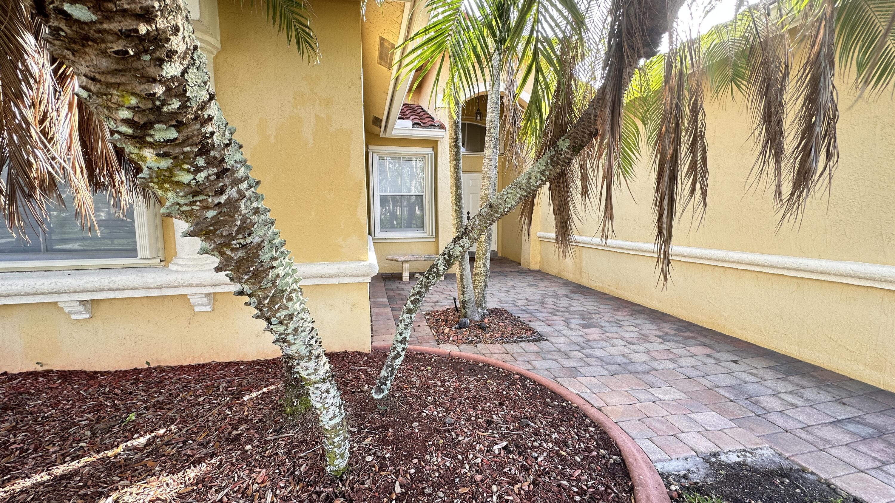 19010 Southwest 10th Street Pembroke Pines, FL 33029 - Photo 55 of 59 a view of a backyard with a garden