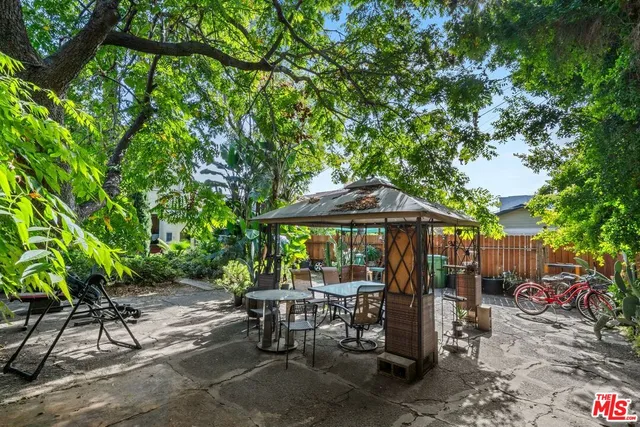a view of a garden with plants