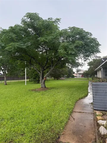 a view of a park with large trees