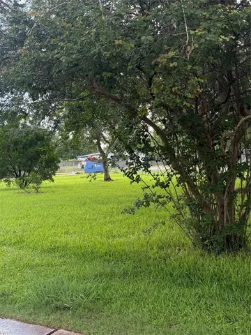 a view of yard with green space