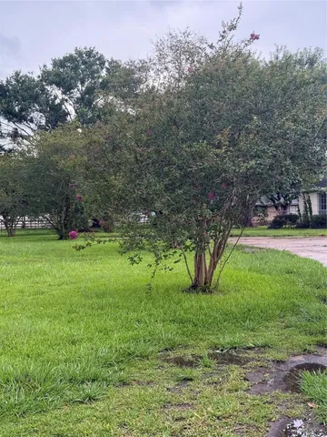 a view of yard with green space