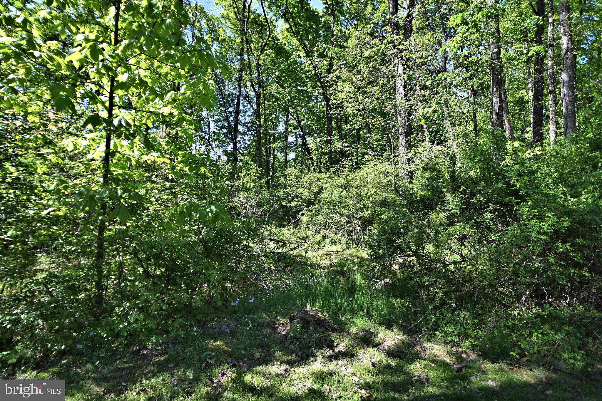 1470 Fels Road Quakertown, PA 18951 - Photo 59 of 100