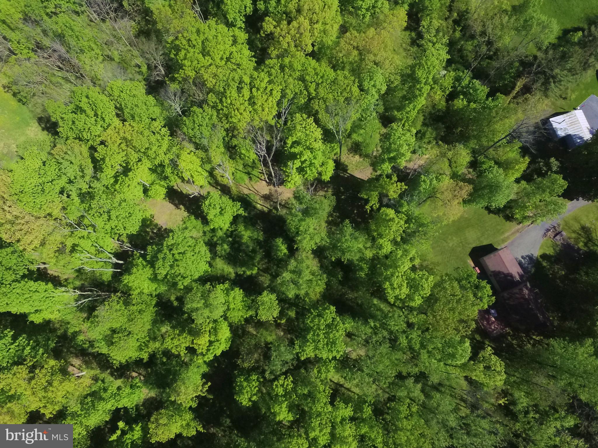 1470 Fels Road Quakertown, PA 18951 - Photo 87 of 100