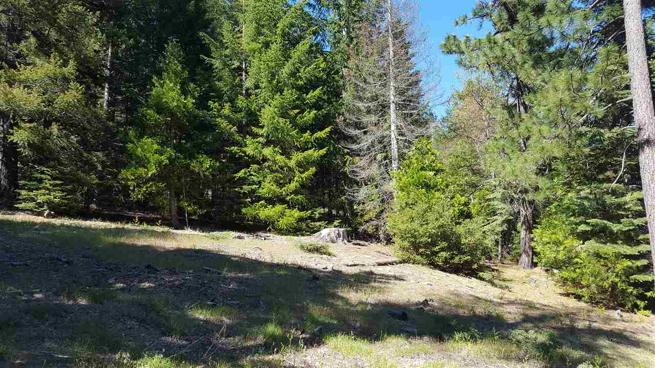 1999 Deetz Road Mount Shasta, CA 96067 - Photo 1 of 3 Gallery Image 1