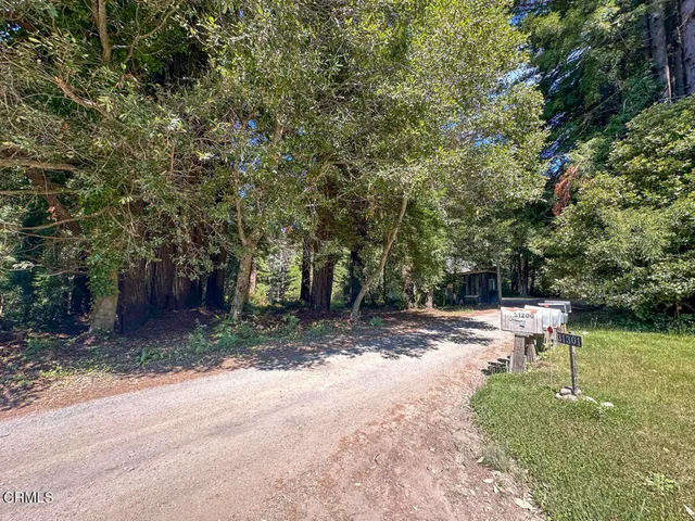 a view of a yard with a tree