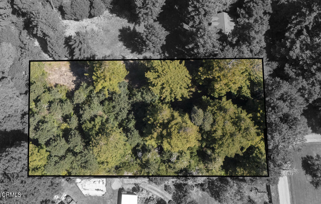 31320 Airport Road Fort Bragg, CA 95437 - Photo 6 of 14 a view of a yard