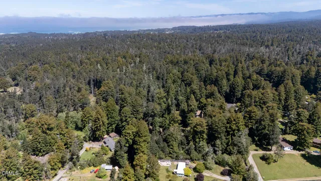 a view of a city with lush green forest