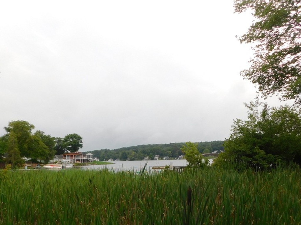 74 Union Road Wales, MA 01081 - Photo 3 of 14 a view of a green field