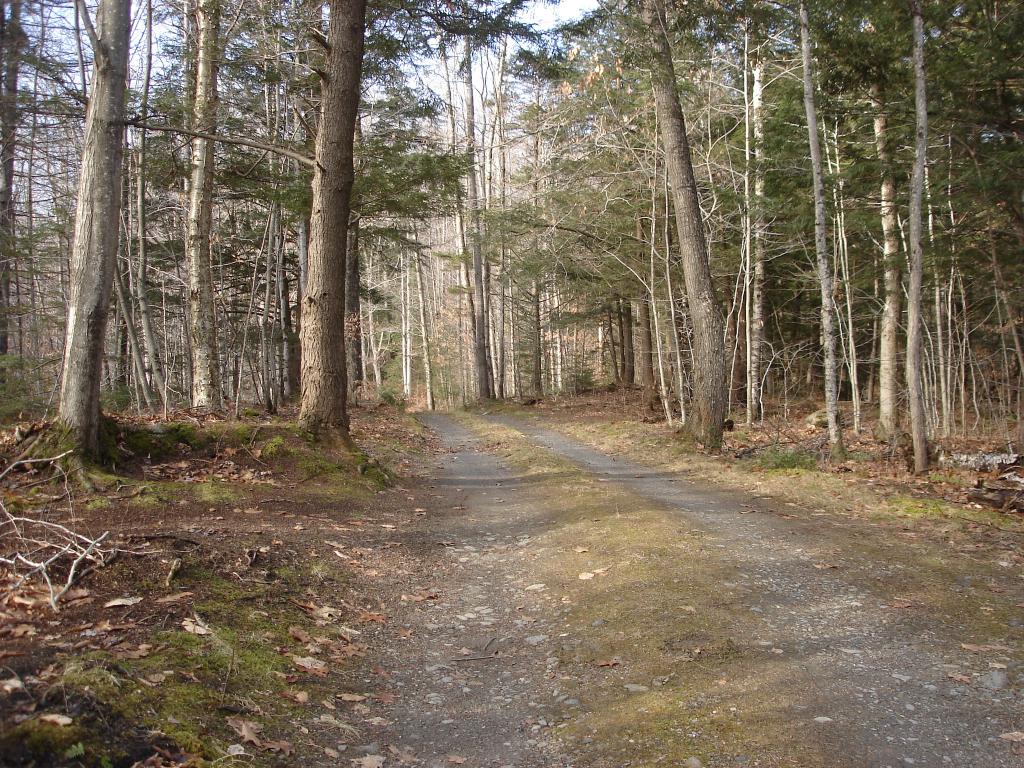 528 Kettle Farm Road Westfield, VT 05874 - Photo 1 of 10