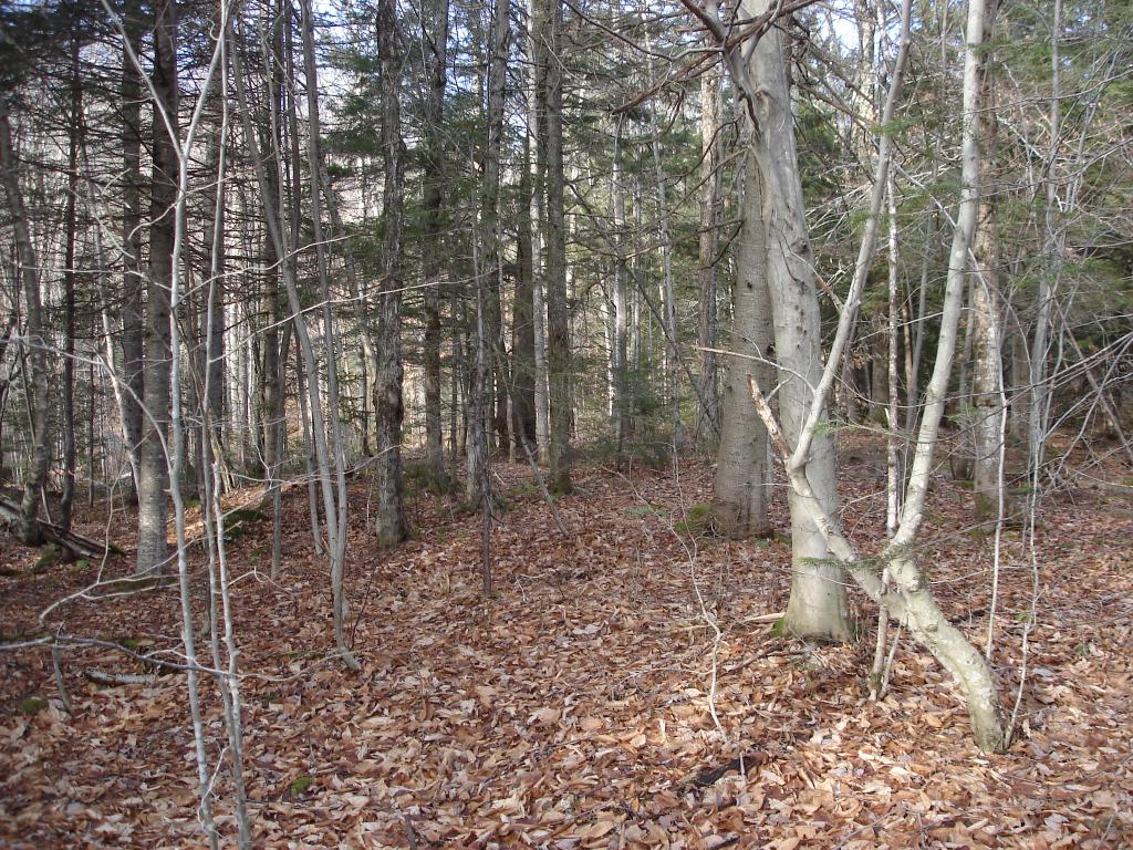 528 Kettle Farm Road Westfield, VT 05874 - Photo 4 of 10