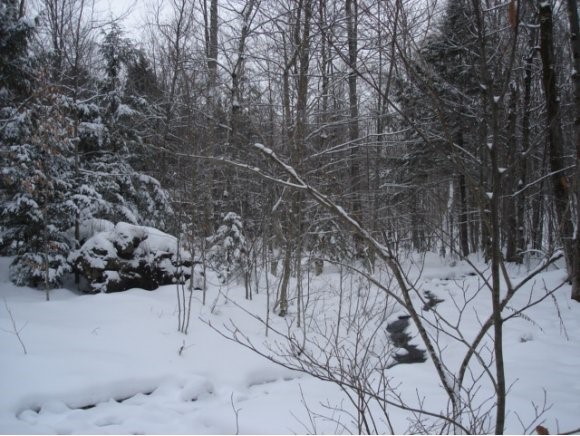 528 Kettle Farm Road Westfield, VT 05874 - Photo 7 of 10