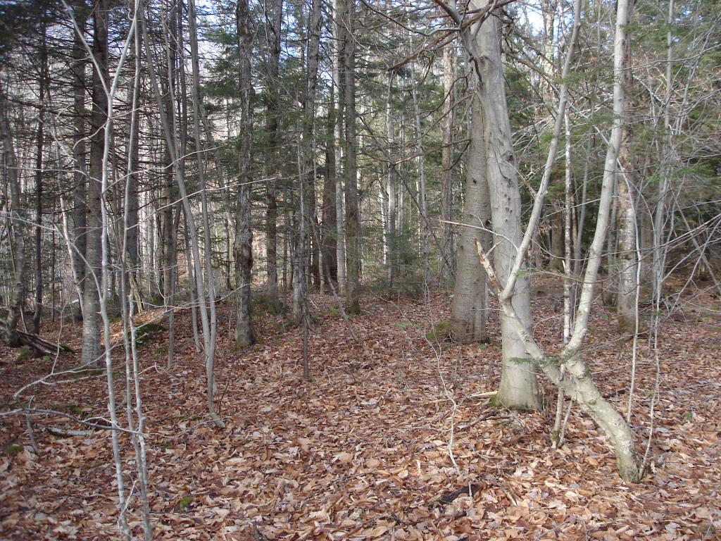 528 Kettle Farm Road Westfield, VT 05874 - Photo 9 of 10