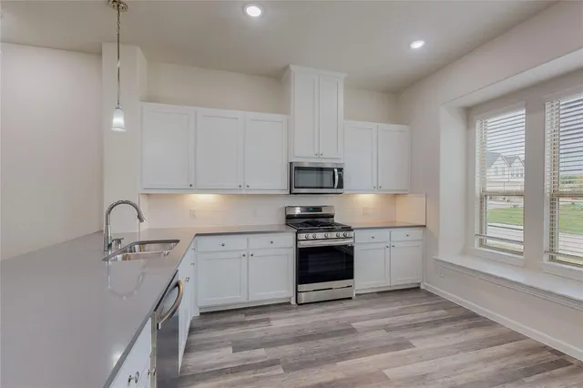 $2,550 | 16082 Doe Lk Drive, Frisco, TX 75033