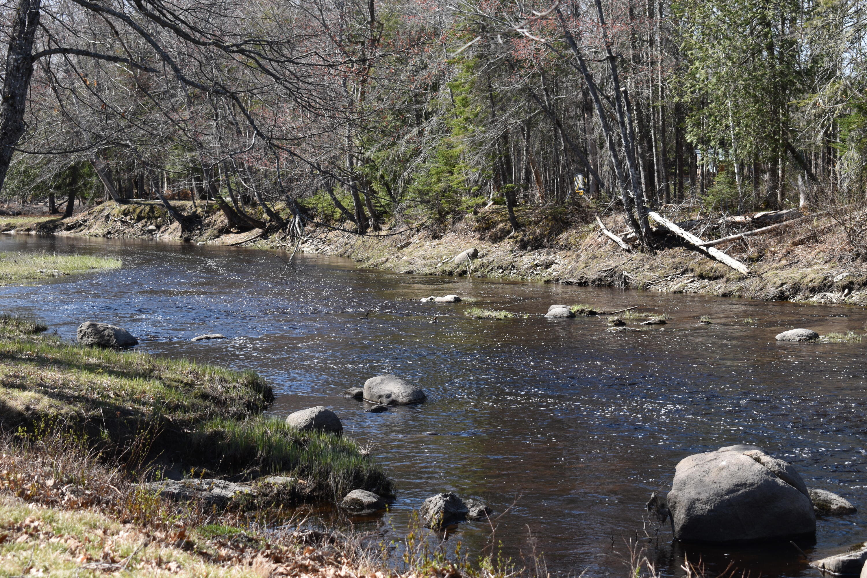 15 Loop Road Lincoln, ME 04457 - Photo 2 of 51 DSC_0149