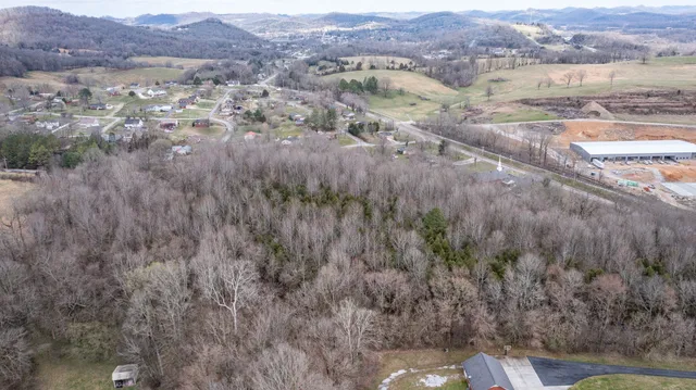 a view of city and mountain