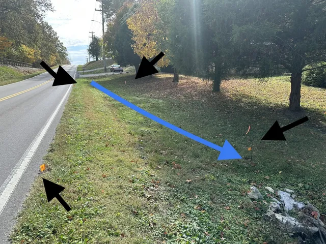 a view of a yard with an trees