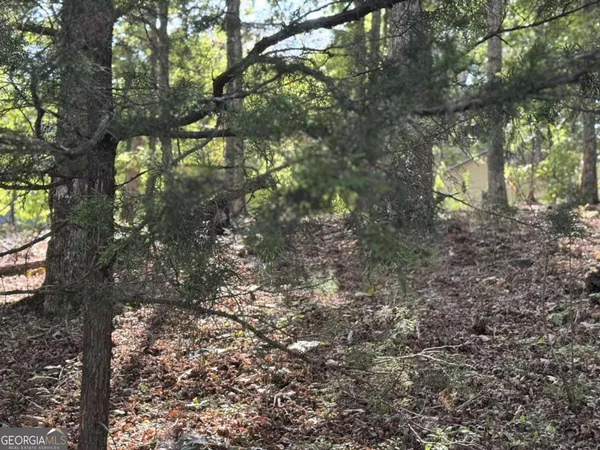 $75,000 | 0 Cagle Road Northeast, Rydal, GA 30171