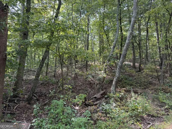 $75,000 | 0 Cagle Road Northeast, Rydal, GA 30171