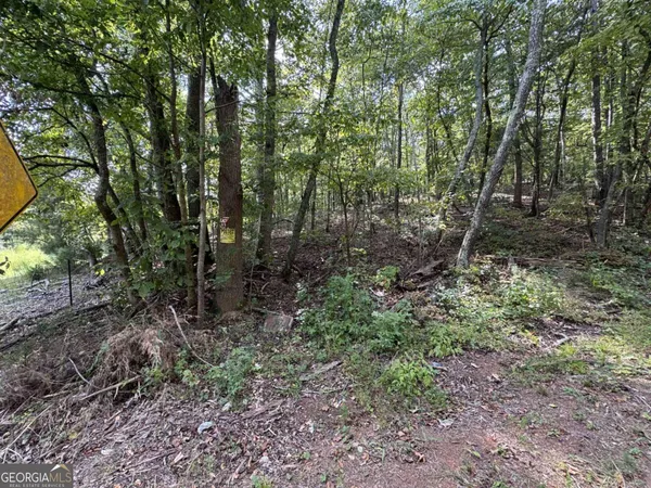 $75,000 | 0 Cagle Road Northeast, Rydal, GA 30171