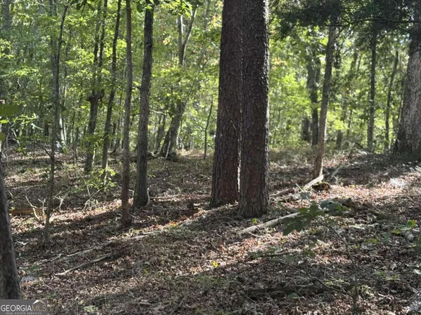 $75,000 | 0 Cagle Road Northeast, Rydal, GA 30171