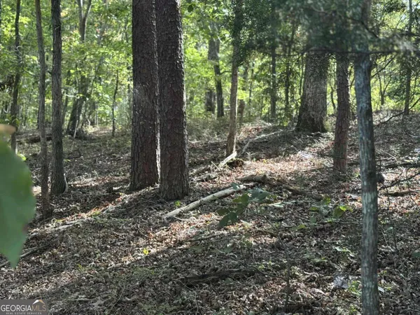 $75,000 | 0 Cagle Road Northeast, Rydal, GA 30171
