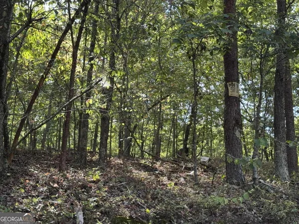 $75,000 | 0 Cagle Road Northeast, Rydal, GA 30171