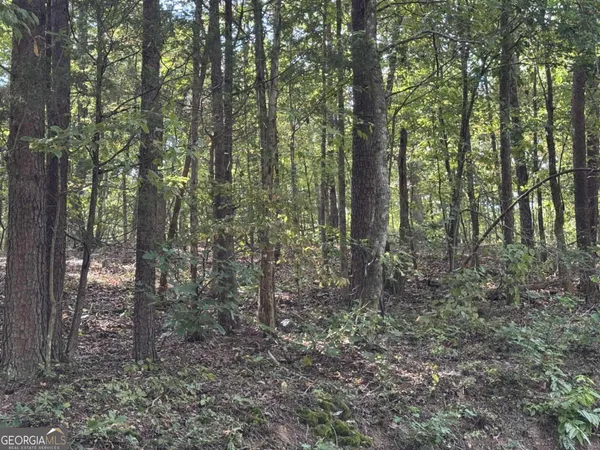 $75,000 | 0 Cagle Road Northeast, Rydal, GA 30171