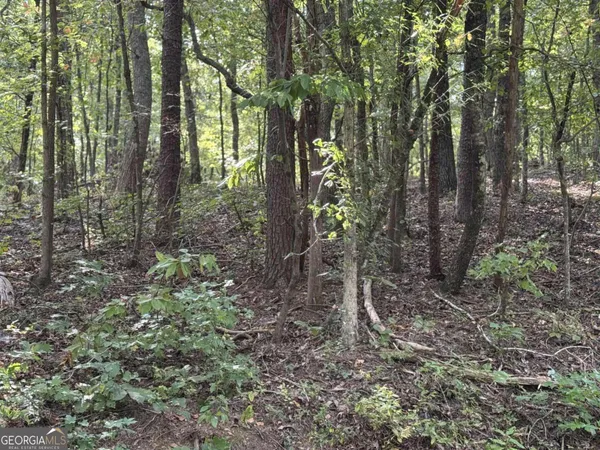 $75,000 | 0 Cagle Road Northeast, Rydal, GA 30171