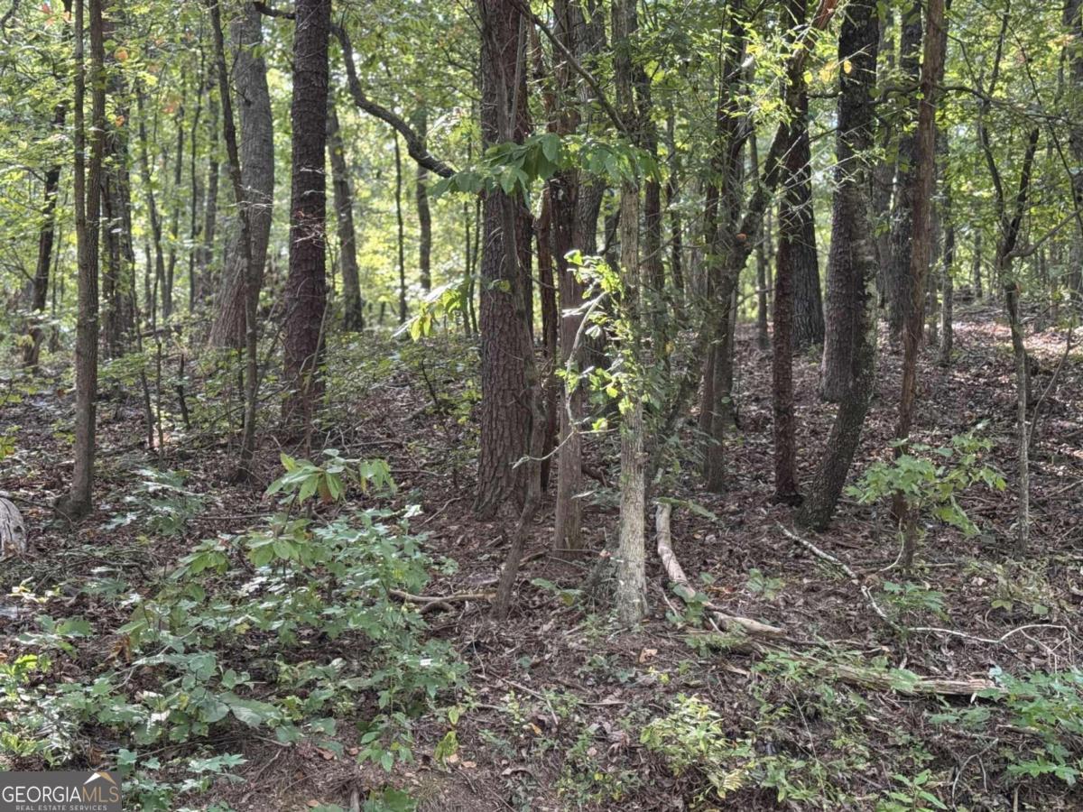 0 Cagle Road Northeast Rydal, GA 30171 - Photo 7 of 12
