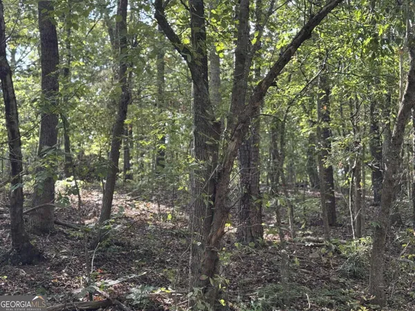 $75,000 | 0 Cagle Road Northeast, Rydal, GA 30171